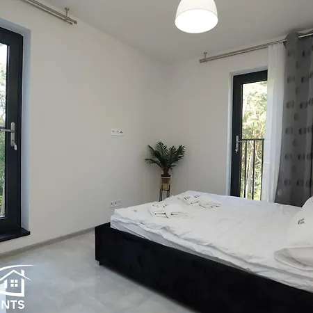 Pine Tree House 11 D&d מידז'יוודז'י